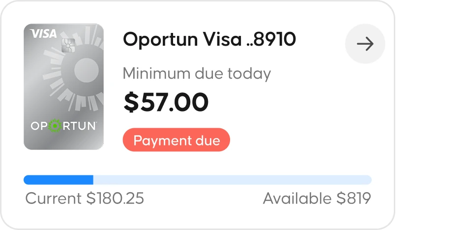 Status card in the payment due state